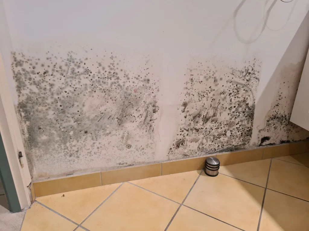 Humidité dans une maison : quelles solutions durables ?