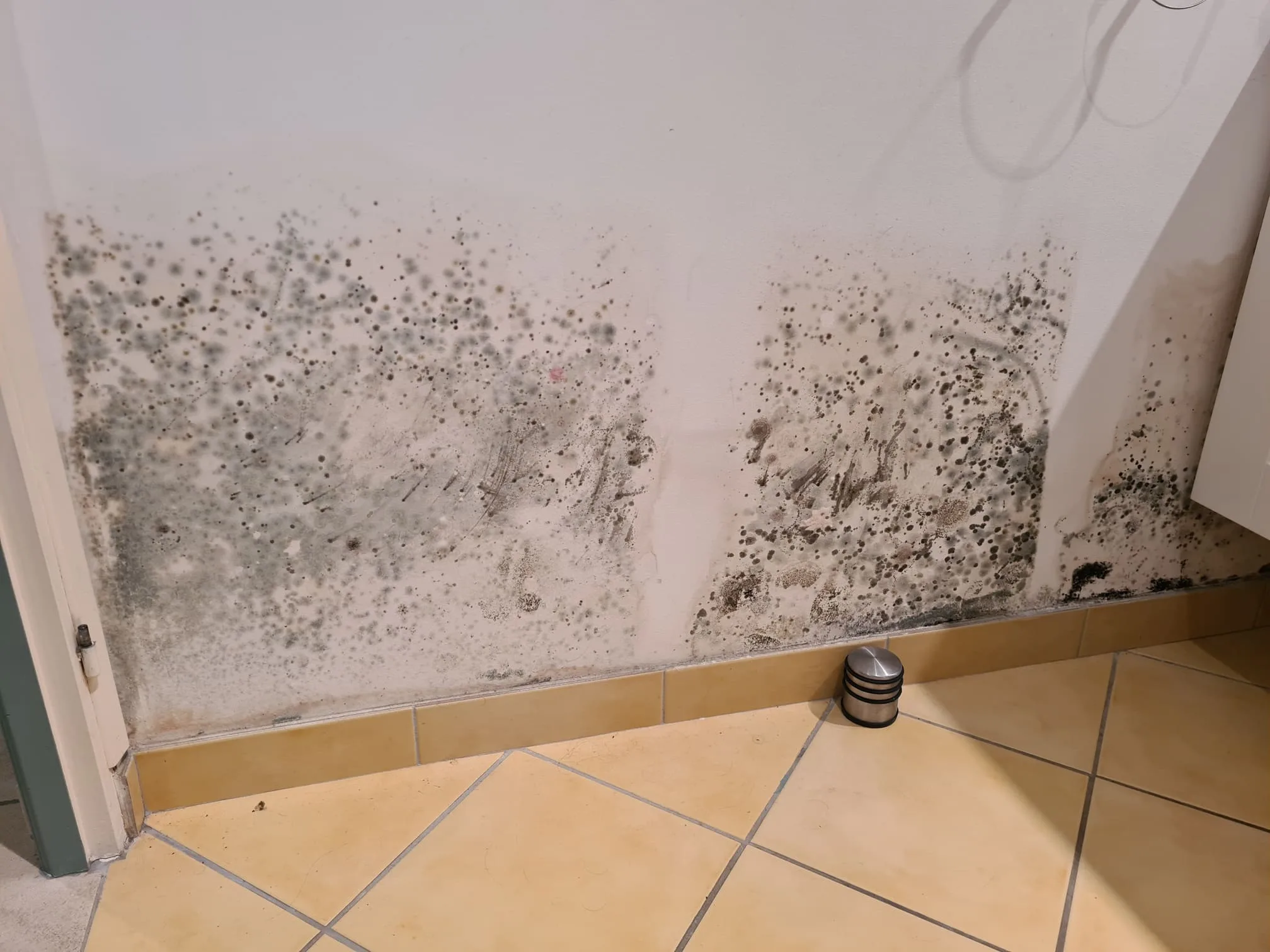 Humidité dans une maison : quelles solutions durables ?