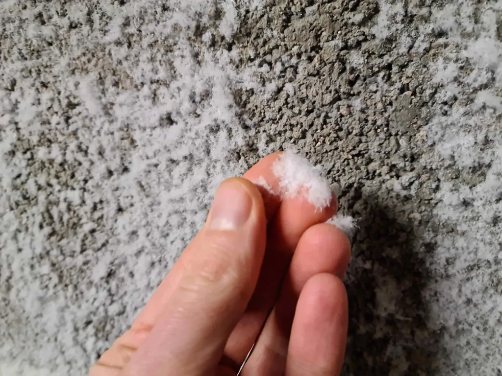 identifier la pathologie pour éviter les faux diagnostics