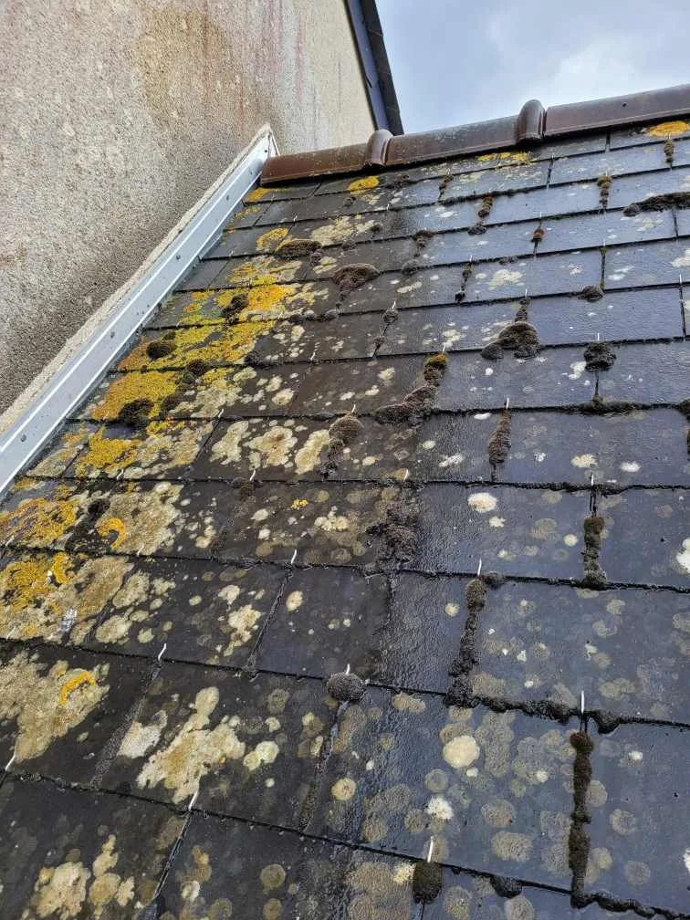 La mise en peinture d’une toiture à Nantes : une solution durable pour protéger et embellir les ardoises