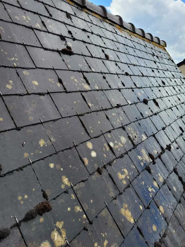 nettoyage d’une toiture en ardoise