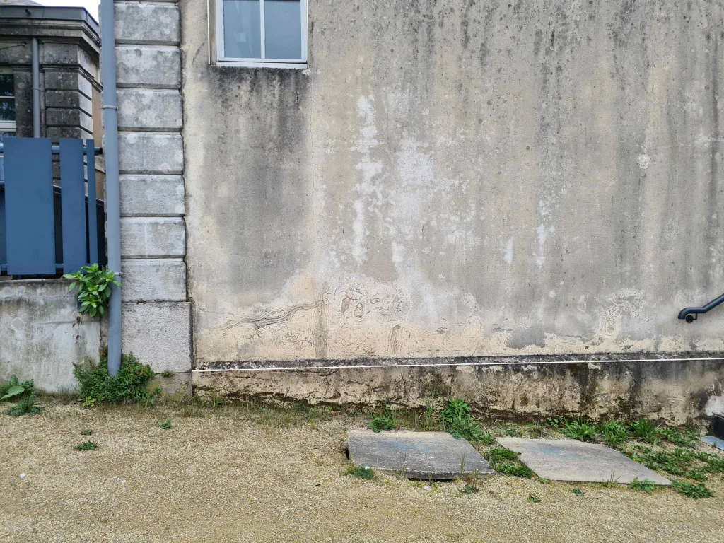Remontées d'humidité : des impacts visibles sur les façades